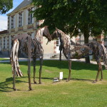 Haras de Saint-Lô