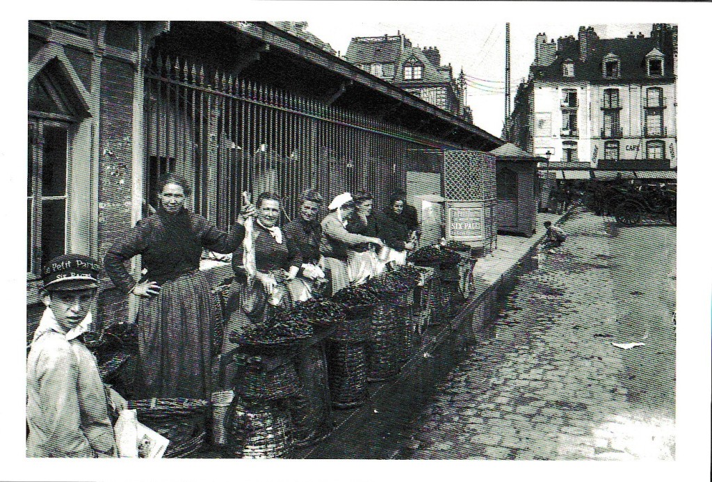 15cmx22,3cm (carte n°4)