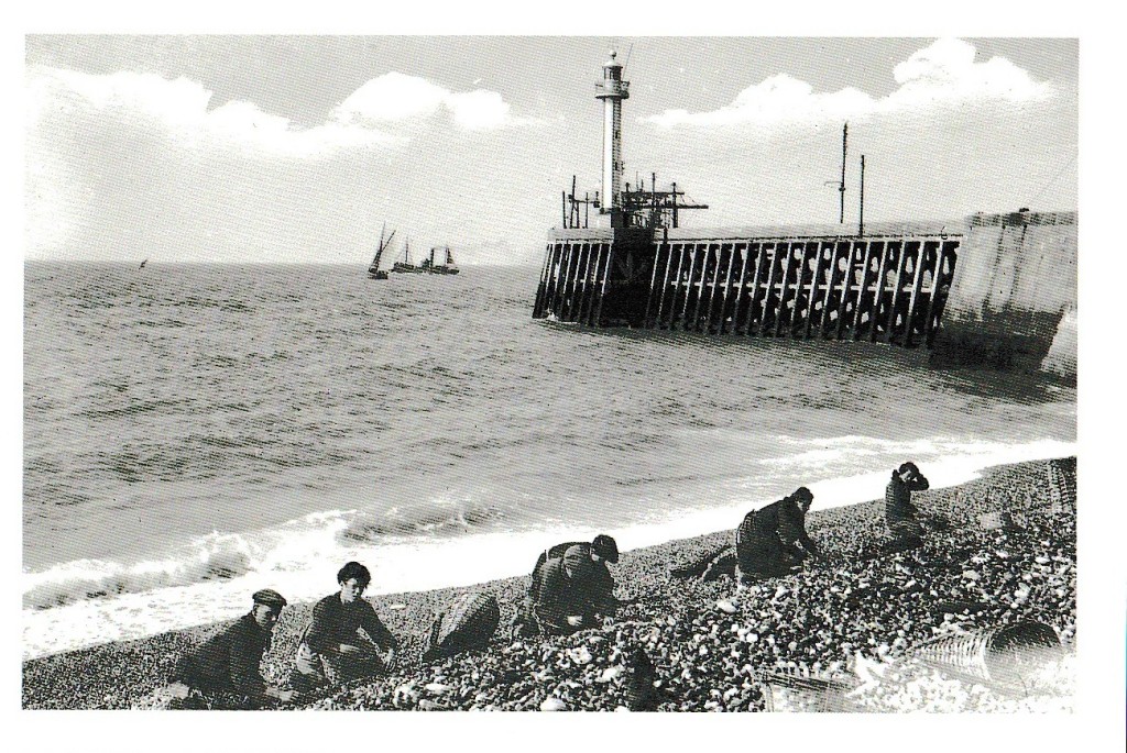 15cmx22,3cm (carte n°8)