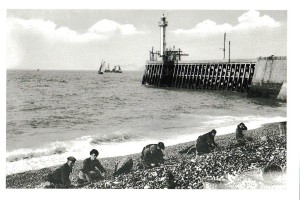 15cmx22,3cm (carte n°8)